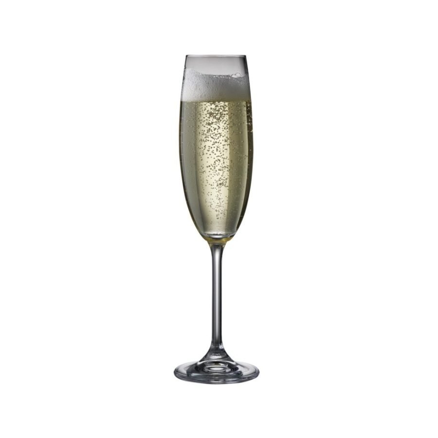 Bitz Elegant Lines Champagne Glass 22 cl, 2 pcs (3)