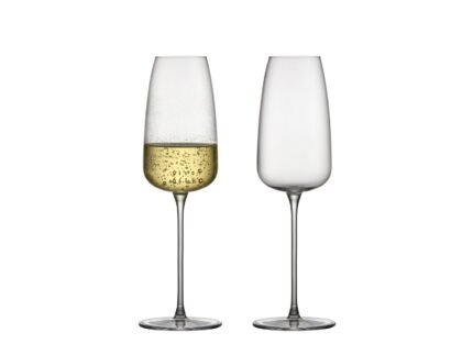 Veneto Champagne Glass 36 cl, 2 pcs