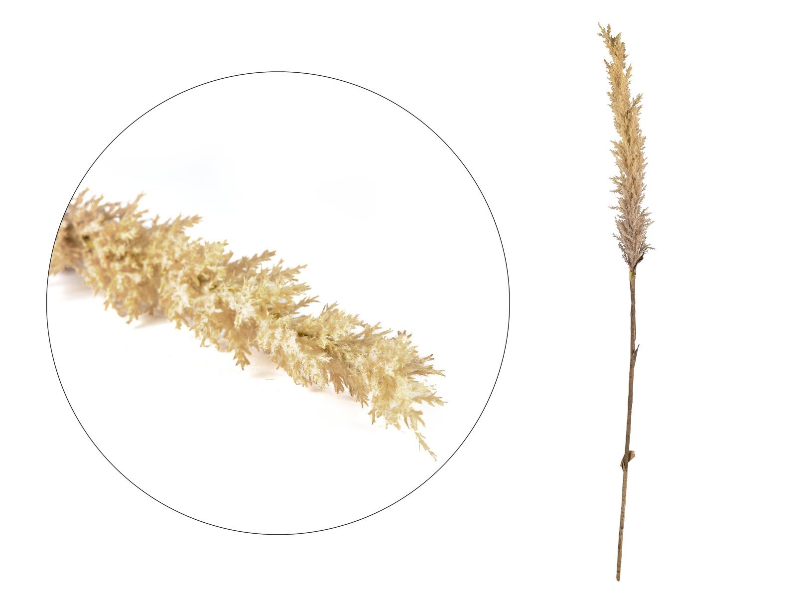 Decor Kvist Grasses Light Plastic L100