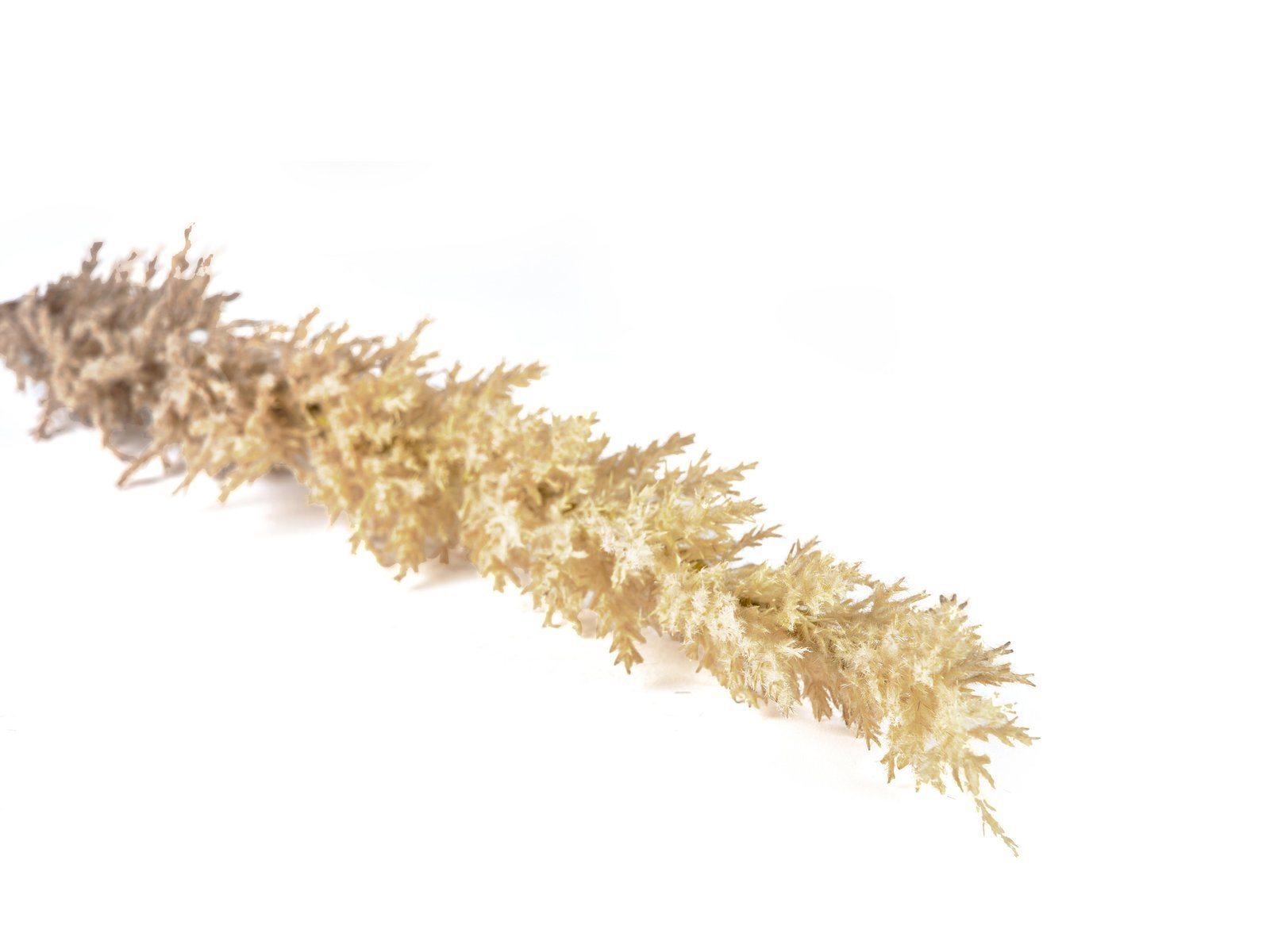 Decor Kvist Grasses Light Plastic L100 - Image 2
