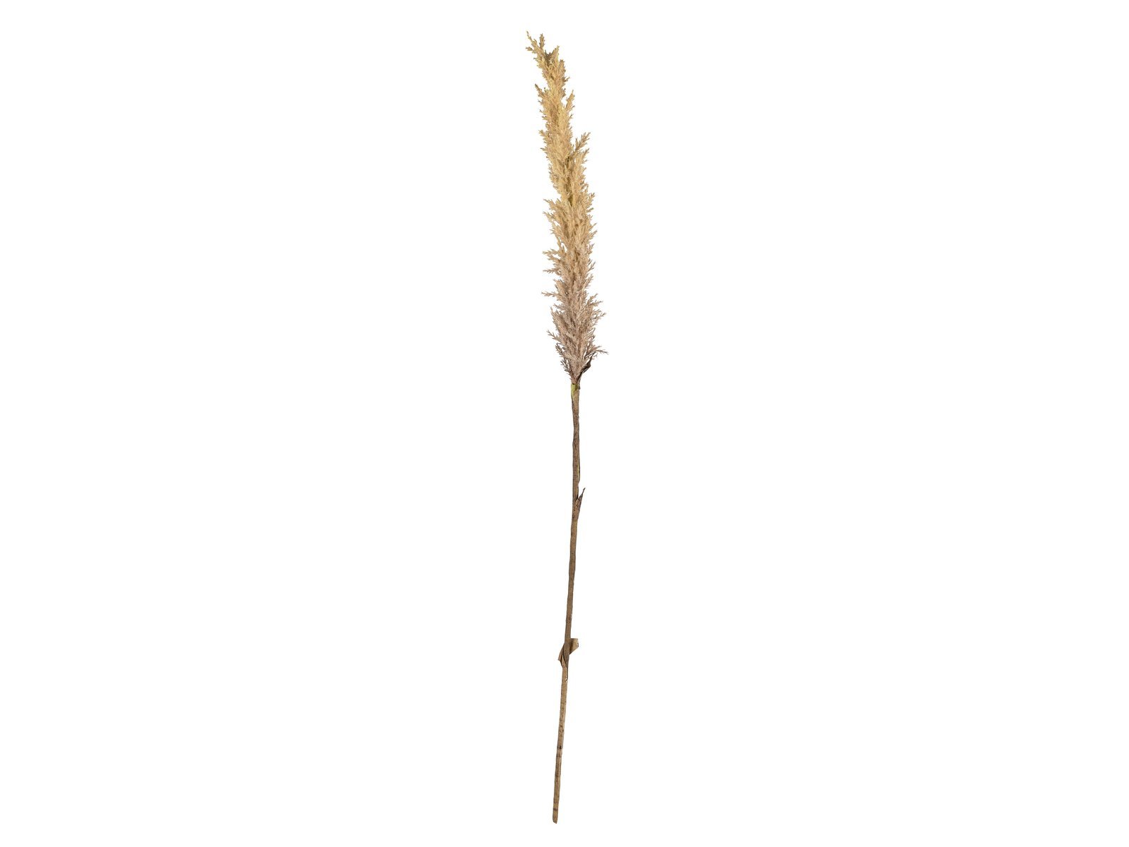 Decor Kvist Grasses Light Plastic L100 - Image 3
