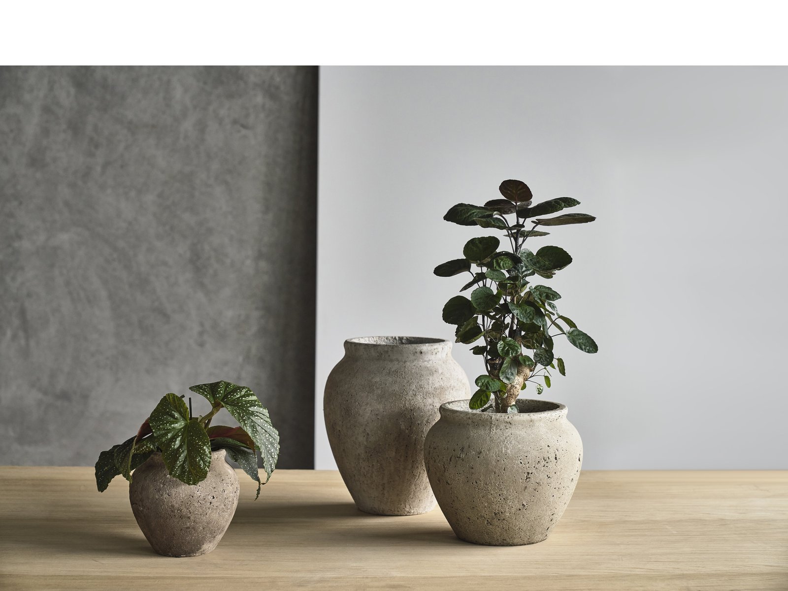 Decoration Jar Loev H25 Cement - Image 3