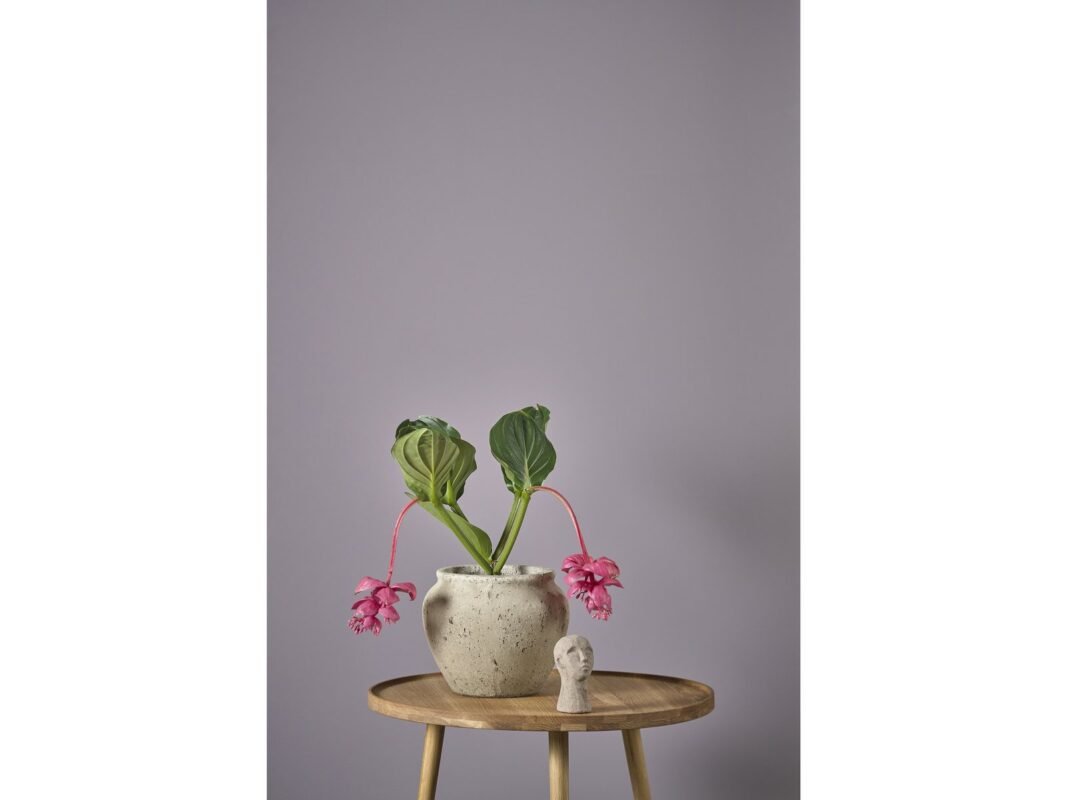 Villa Collection Loev Decorative Jar 25 cm in Cement (5)