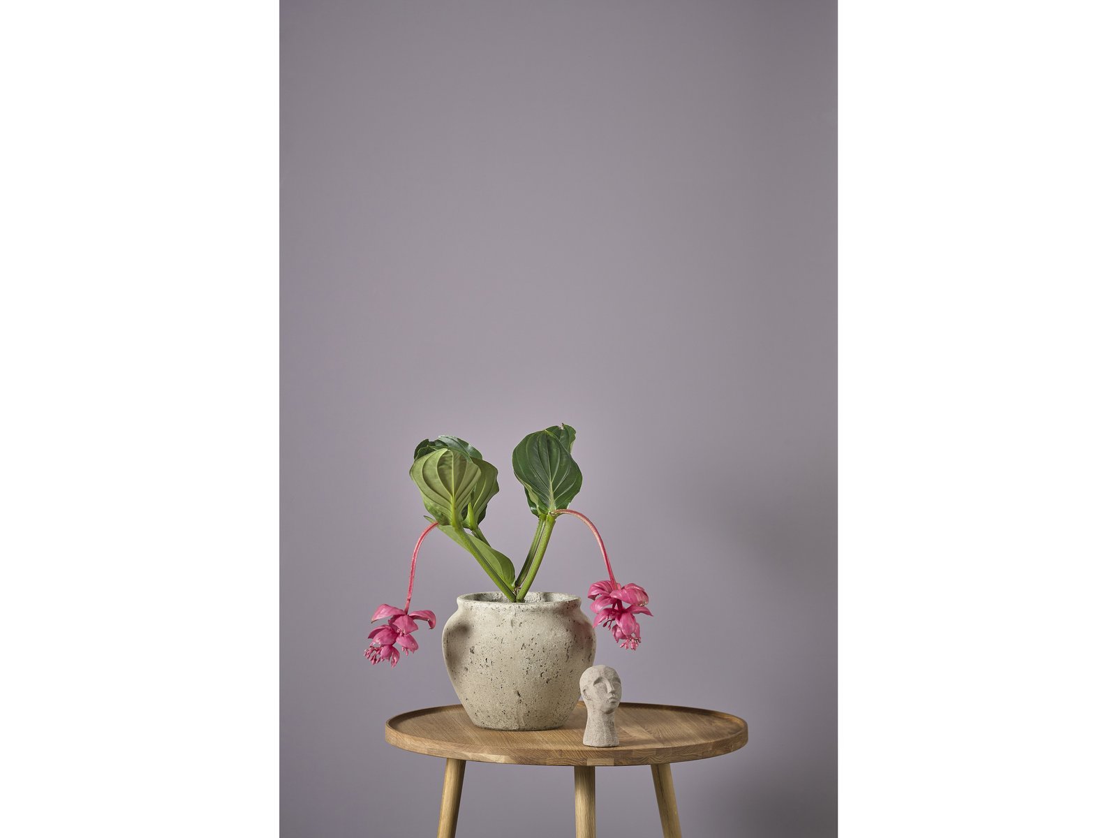 Decoration Jar Loev H25 Cement - Image 5